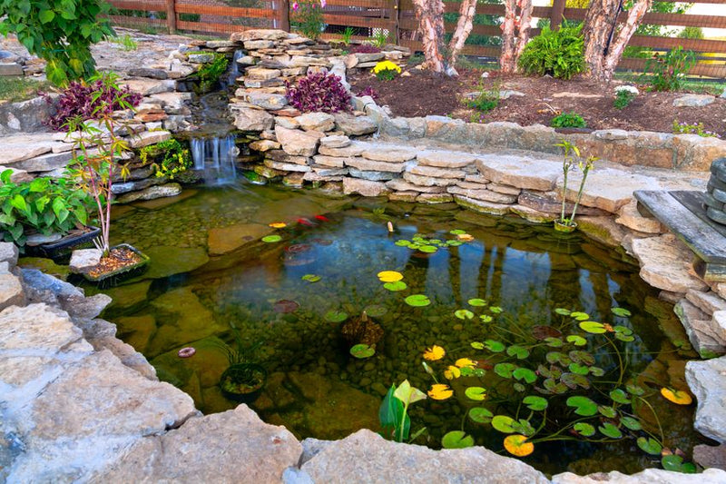 How to Build a Koi Fish Pond Step-By-Step