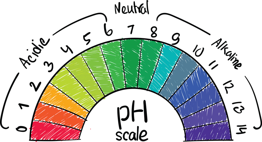 Achieving the Optimal pH Balance in Your Koi Pond