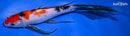 8.75" SANKE BUTTERFLY