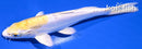 6.75" DOITSU LEMON HARIWAKE
