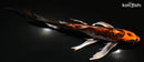 8" BENI KIKOKURYU BUTTERFLY