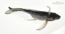 7" GINRIN OCHIBA SHIGURE BUTTERFLY