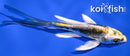 4.75" KIN KIKOKURYU BUTTERFLY