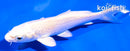 4.5" PLATINUM OGON