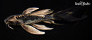 7.25" ARAGOKE KIKOKURYU BUTTERFLY