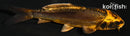 4.25" BENI KIKOKURYU