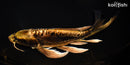 11" KIN KIKOKURYU BUTTERFLY