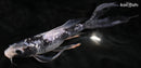 9.5" GINRIN MATSUKAWABAKE BUTTERFLY