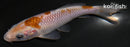 4.25" OCHIBA SHIGURE