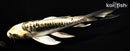 6" KIN KIKOKURYU BUTTERFLY