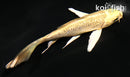 5" GINRIN YAMABUKI OGON BUTTERFLY