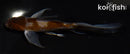 4.5" OCHIBA SHIGURE BUTTERFLY