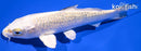 5.75" GINRIN GIN MATSUBA