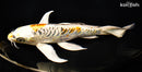 8.75" ARAGOKE KIN KIKOKURYU BUTTERFLY