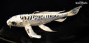 9" ARAGOKE KIKOKURYU BUTTERFLY