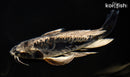 10" ARAGOKE BENI KIKOKURYU BUTTERFLY