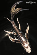 9.25" KIKOKURYU BUTTERFLY