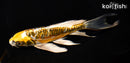7.5" KIN KIKOKURYU BUTTERFLY