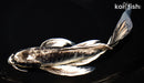 9.75" KIKOKURYU BUTTERFLY