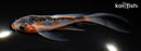 5.75" HI SHUSUI BUTTERFLY