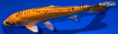 6.75" DOITSU ORENJI MATSUBA