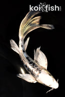 7" DOITSU GIN SHIRO BEKKO BUTTERFLY
