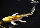 8.5" KIN KIKOKURYU BUTTERFLY