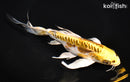 8.5" KIN KIKOKURYU BUTTERFLY