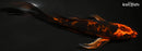8" HI UTSURI BUTTERFLY