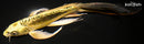 8.25" KIN KIKOKURYU BUTTERFLY