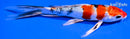 6.75" YAMATO NISHIKI BUTTERFLY