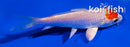 4" HARIWAKE