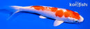 5" HARIWAKE