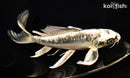 8" ARAGOKE KIKOKURYU BUTTERFLY
