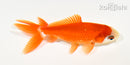 4" WAKIN GOLDFISH