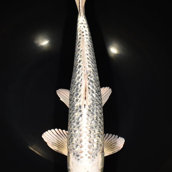 Biancalani 花瓶☆SALE Biancalani 花瓶☆SALE