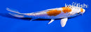 4.5" KIKUSUI
