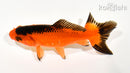 4.25" WAKIN GOLDFISH