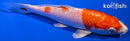 5" HARIWAKE