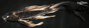9.75" BENI GINGA BUTTERFLY