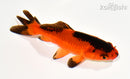 4.5" WAKIN GOLDFISH