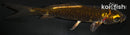 4" DOITSU KIN KI UTSURI