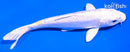 5.5" DOITSU LEMON HARIWAKE