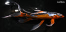 9.75" SHUSUI BUTTERFLY