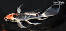 7.75" BENI KIKOKURYU BUTTERFLY