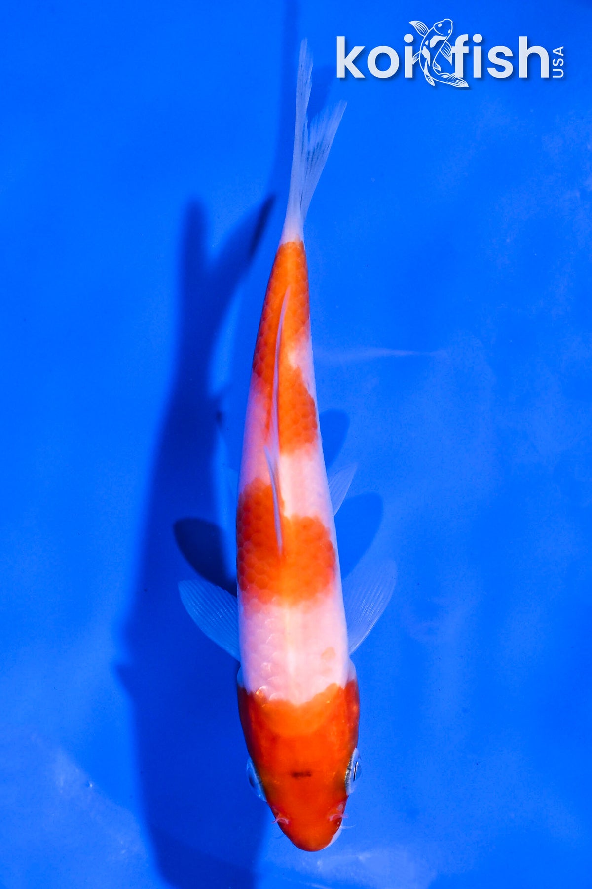 4.5