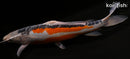14.25" HI SHUSUI
