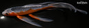 11" ASAGI BUTTERFLY