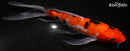 8.75" SANKE BUTTERFLY