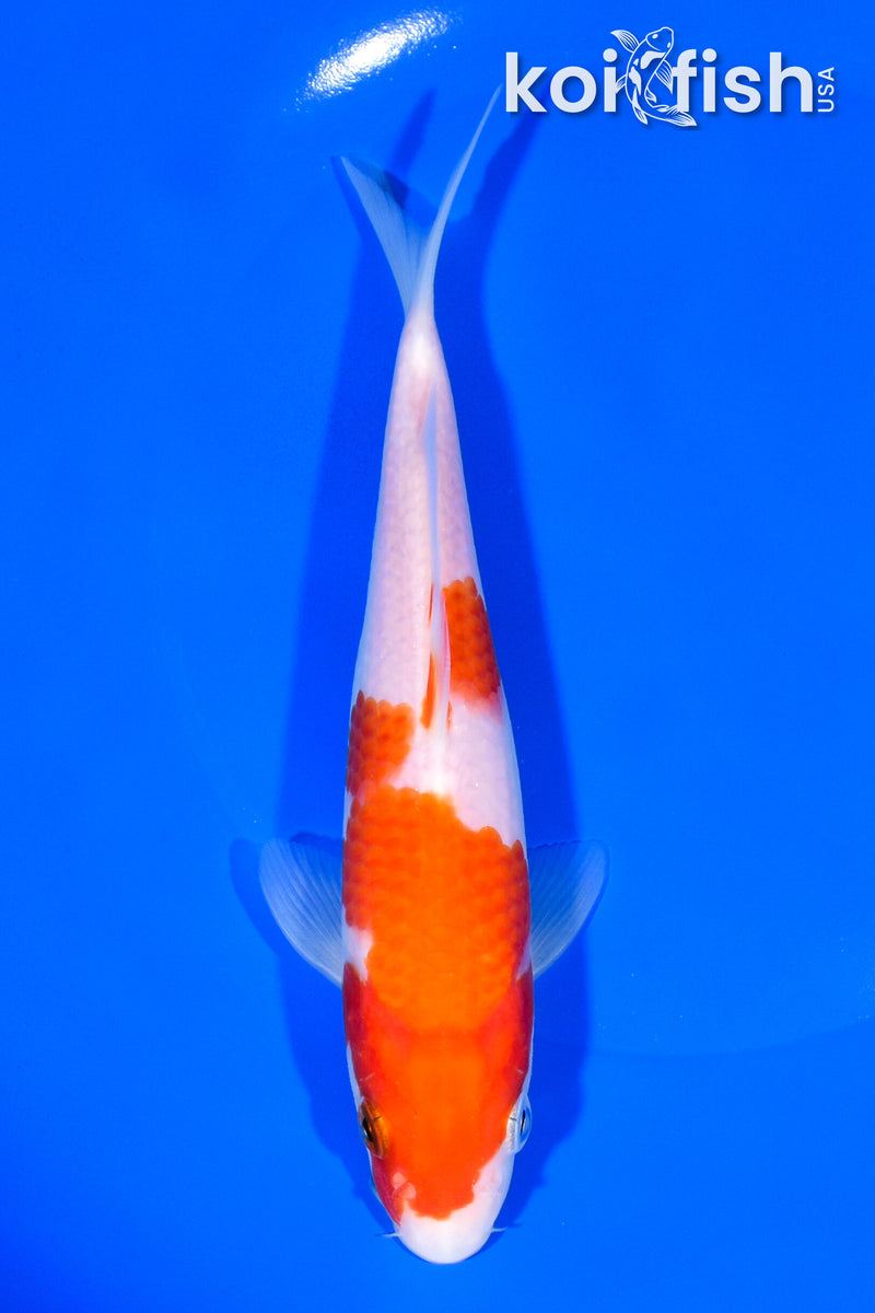 6.75